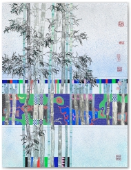 2_NmA_73x94