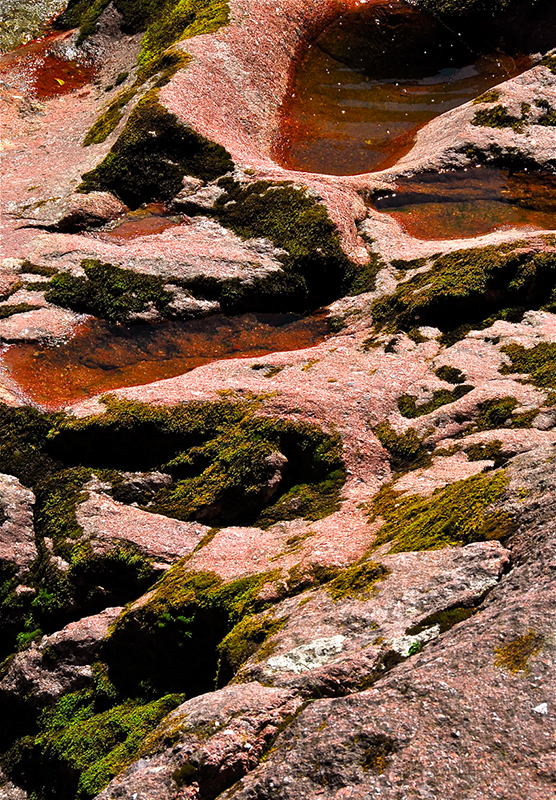 Felsenbilder_13