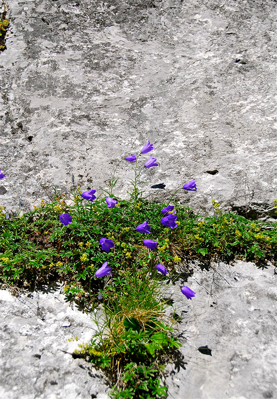 Felsenbilder_16