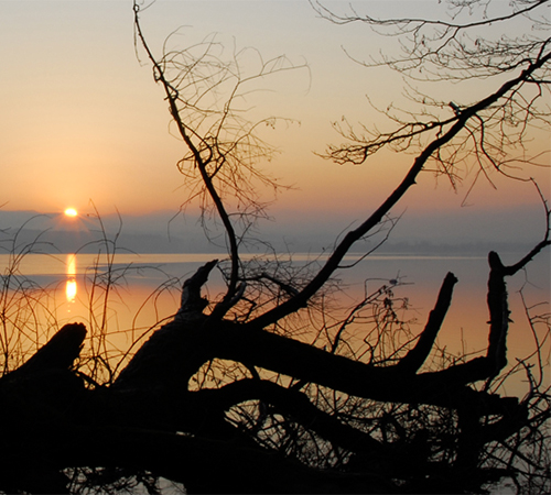 Greifensee