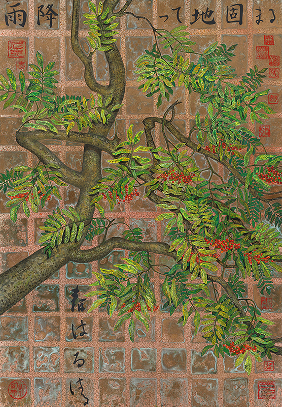 70x50_20
