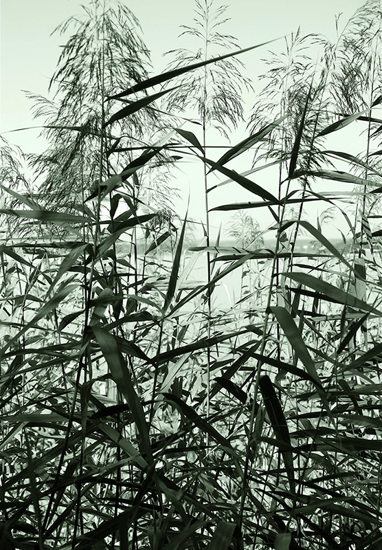 Wettbewerb_4