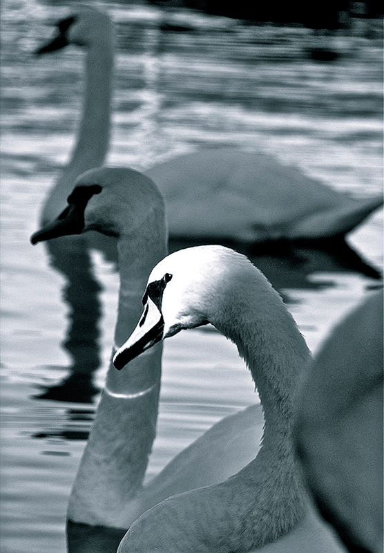 Wettbewerb_9