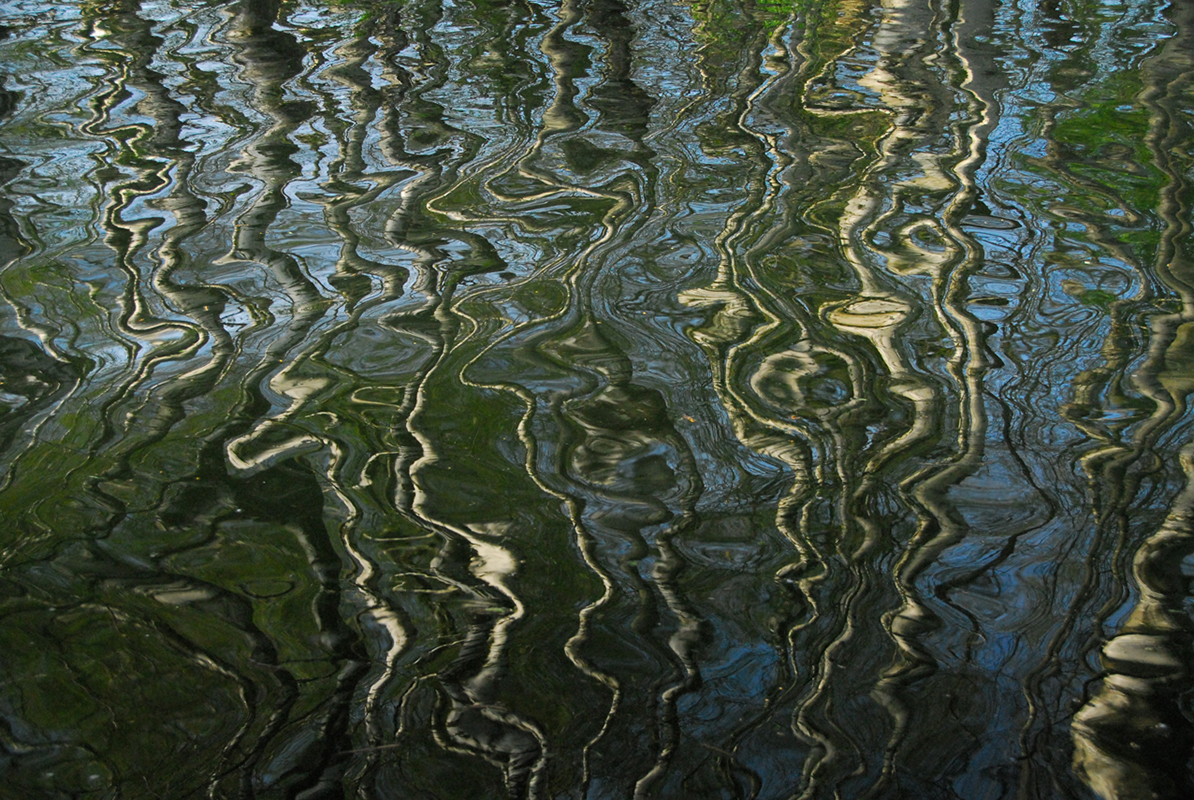 Greifensee_10