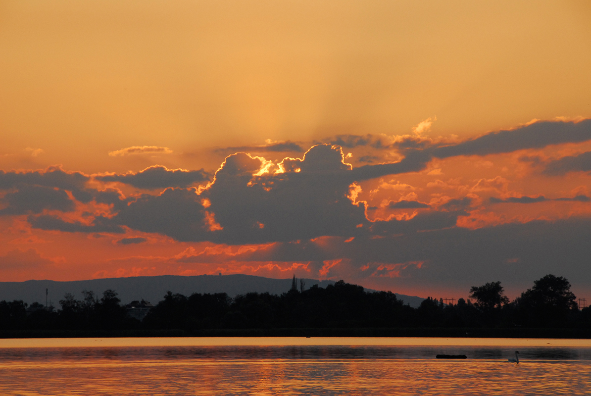 Greifensee_13