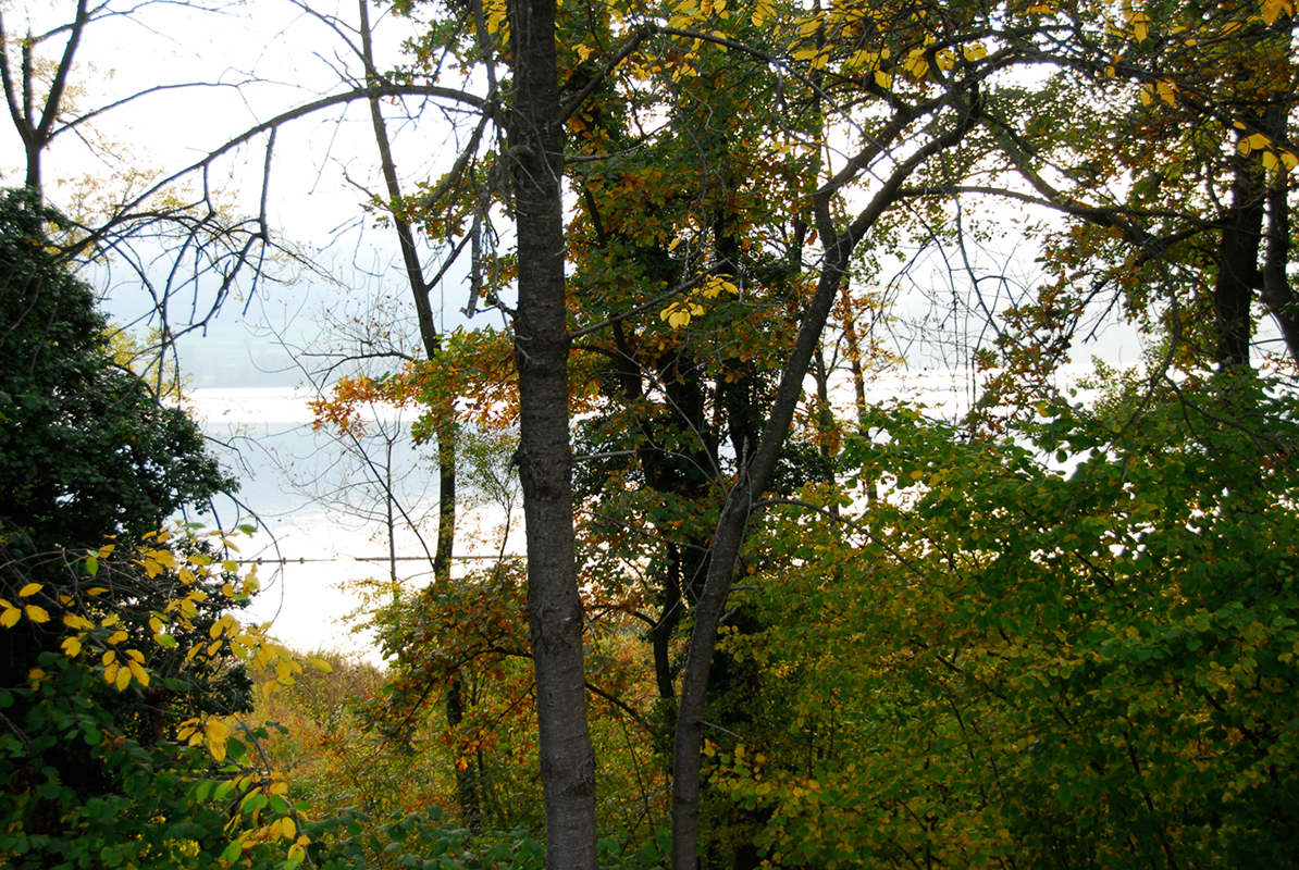 Greifensee_14
