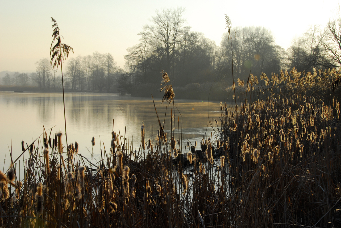 Greifensee_2