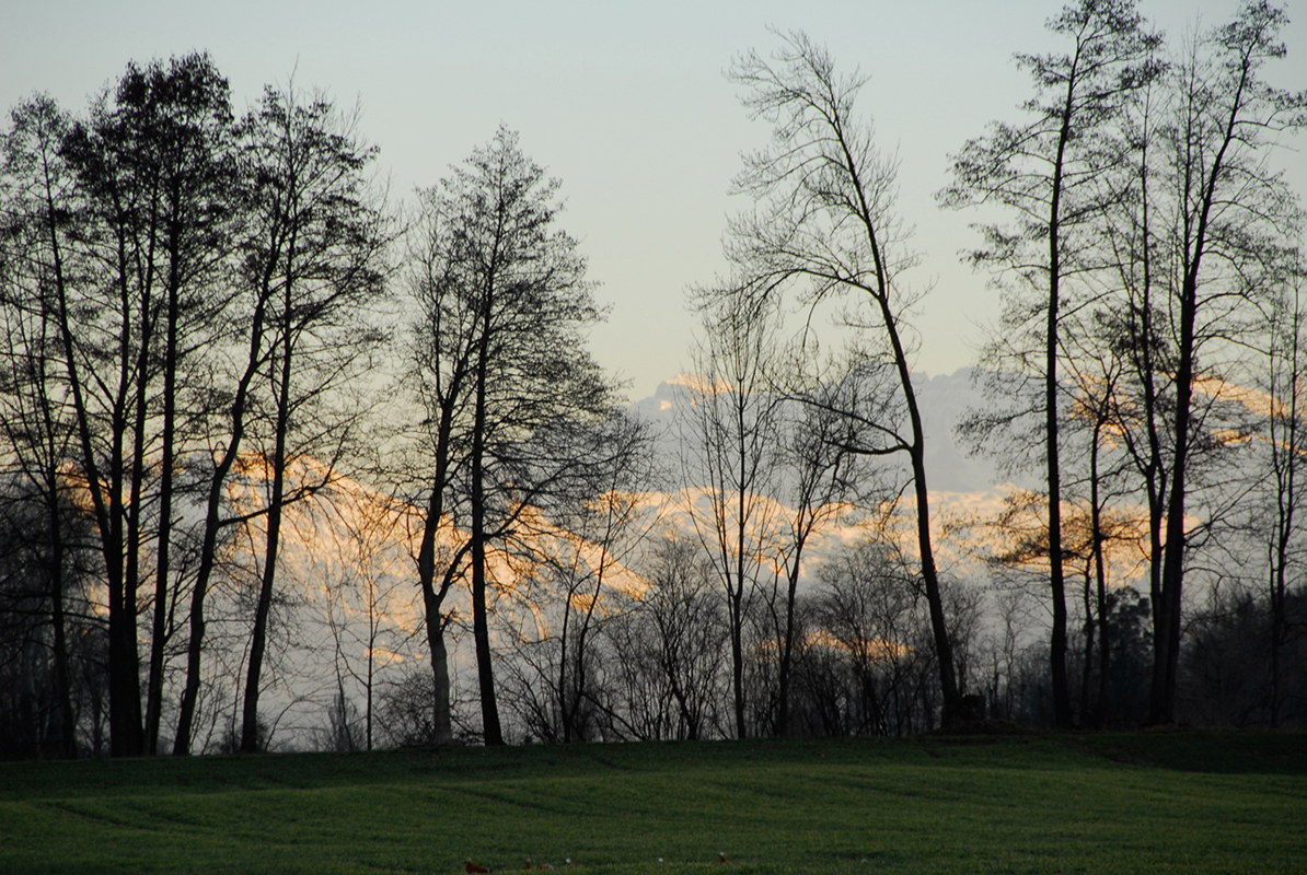 Greifensee_3