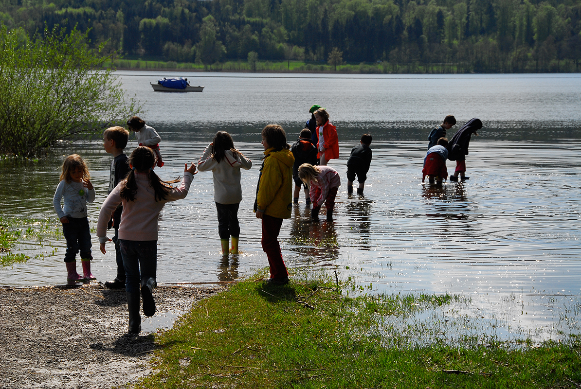 Greifensee_5