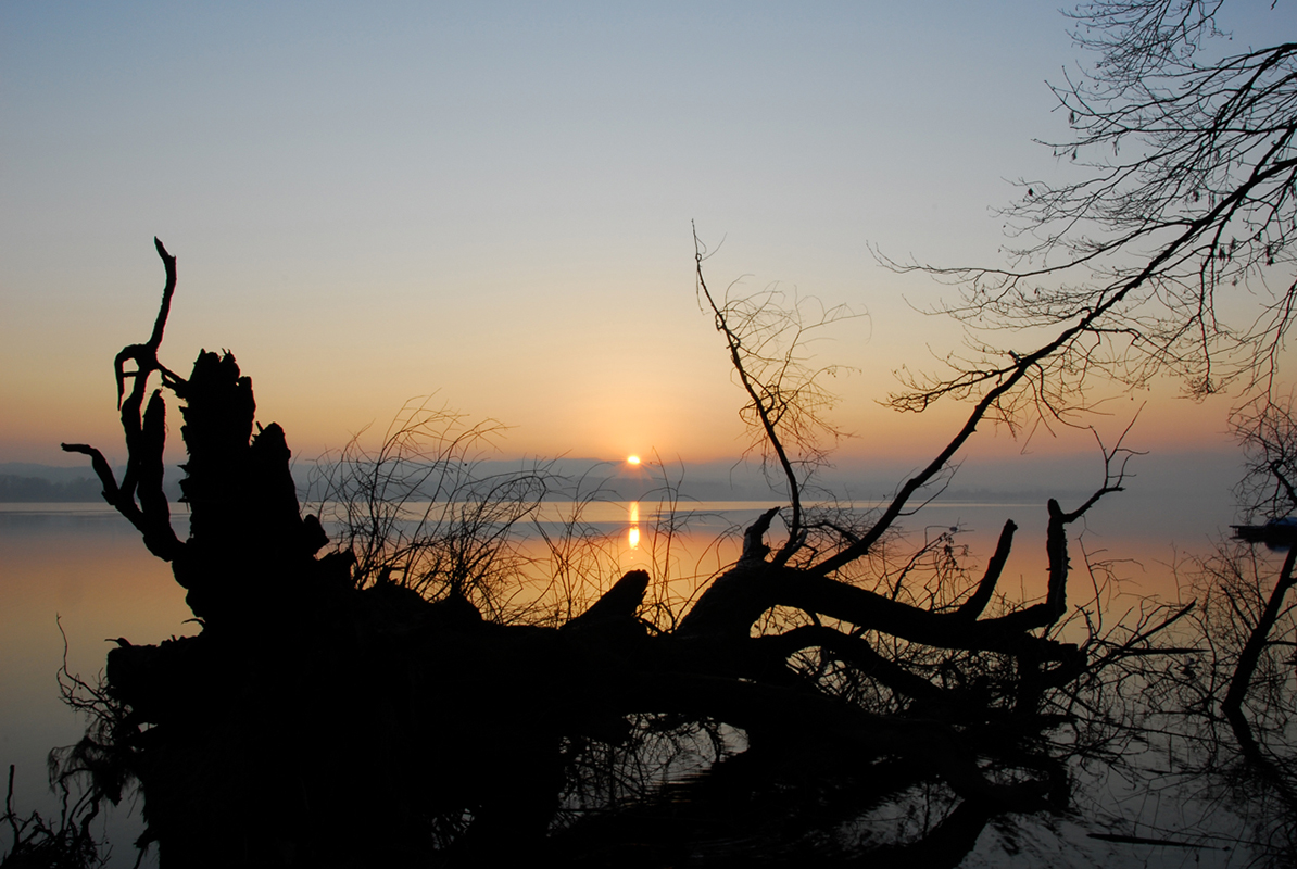 Greifensee_6
