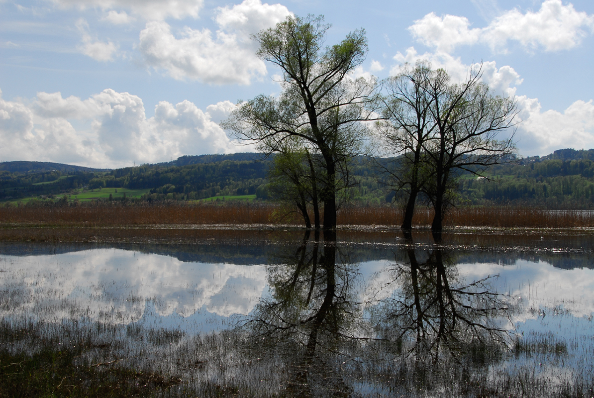 Greifensee_7